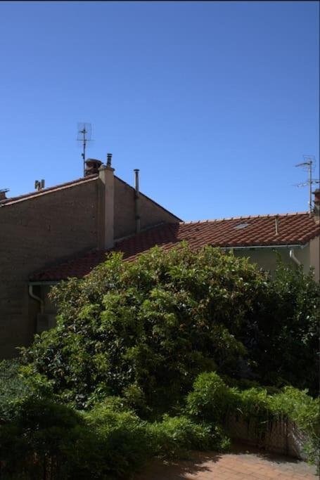 La Jungle Urbaine Avec Garage Prive & Climatisation Leilighet Perpignan Eksteriør bilde